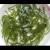 Machine Dried Kelp Shreds 10% Moisture Seaweed for Soup/Salad ISO22000 Factory