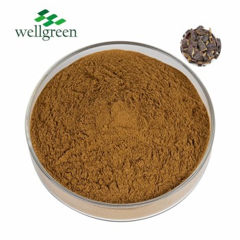 Top Quality Quillaja Saponaria Bark Extract 80% Quillaja Saponin Soapbark Extract