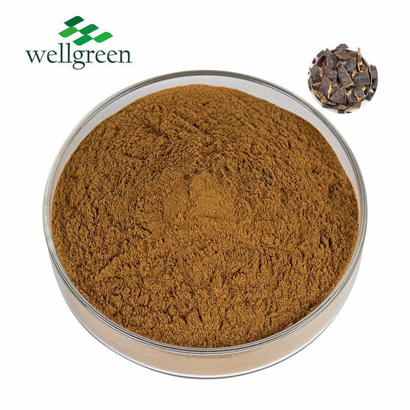 Top Quality Quillaja Saponaria Bark Extract 80% Quillaja Saponin Soapbark Extract