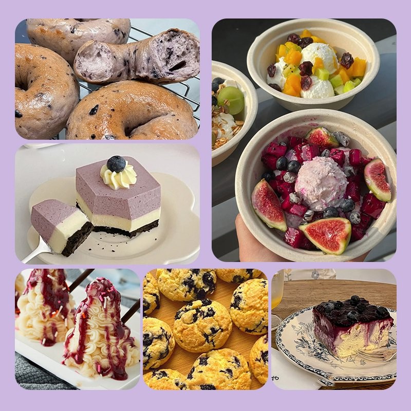 Juice Infused Organic Blueberry for Sale