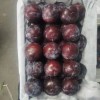 Black-New Crop-Sweet Plum From China
