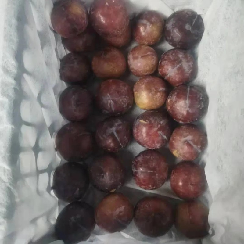 Black-New Crop-Sweet Plum From China