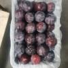 Black-New Crop-Sweet Plum From China