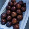 Black-New Crop-Sweet Plum From China