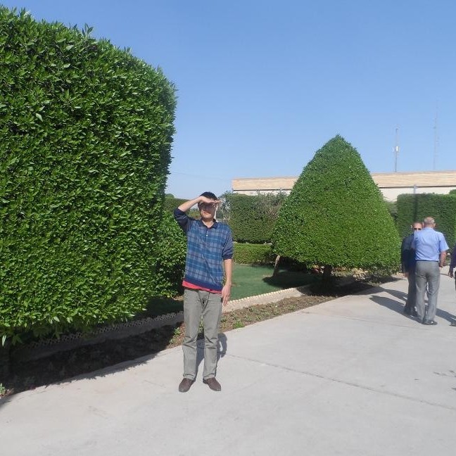 Ekato Feed Grade Monodicalcium Phosphate 21%