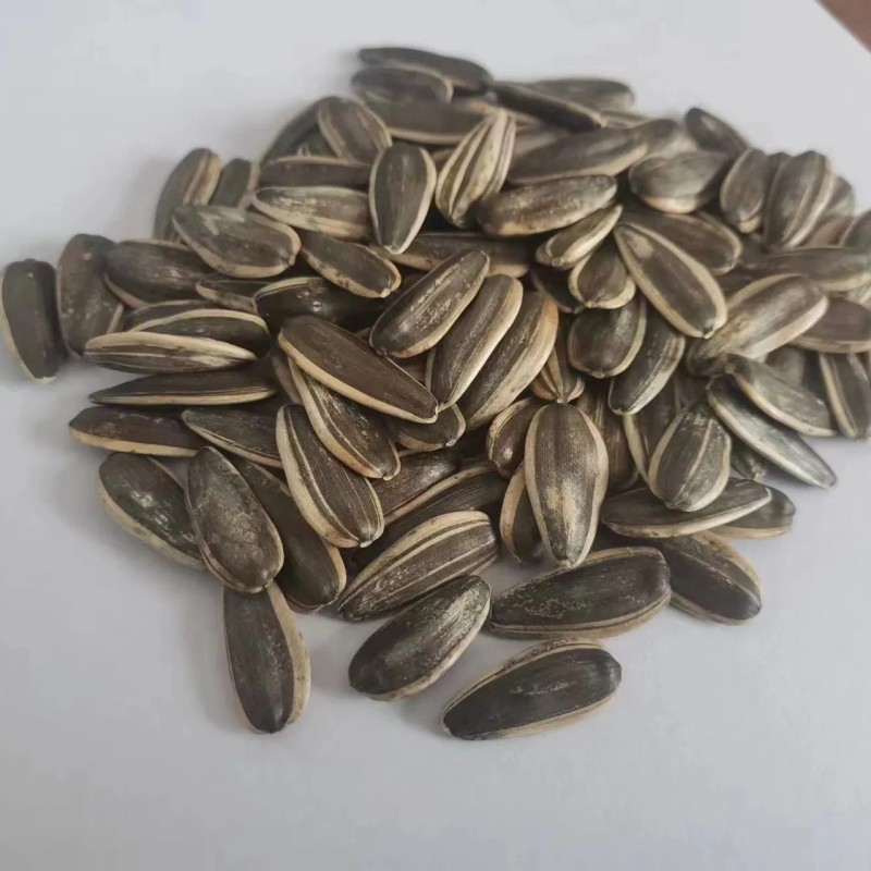 China Origin Inner Mongolia Black and White Strip Inner Mongolia Sunflower Seed