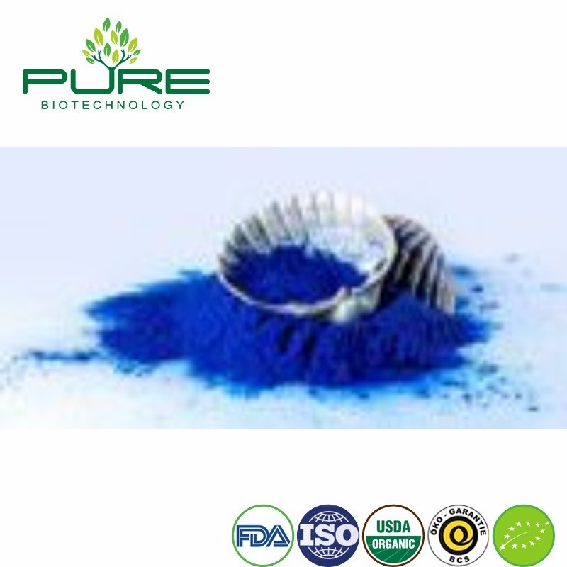 Phycocyanin Powder - Natural Antioxidant for Healthy Living