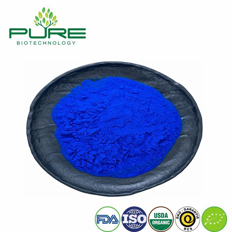 Phycocyanin Powder - Natural Antioxidant for Healthy Living