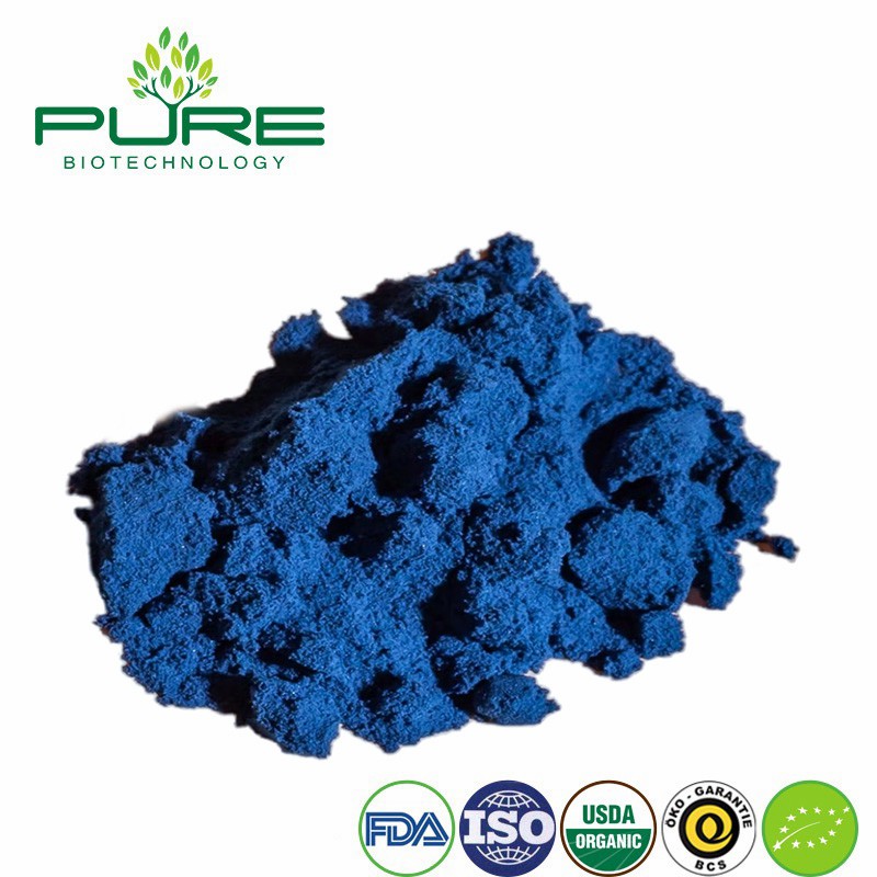 Phycocyanin Powder - Natural Antioxidant for Healthy Living