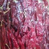 Paprika Made in China Wholesale Red Pepper Milling Hot Spice