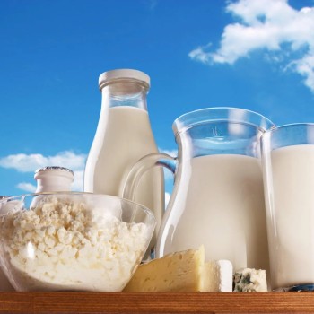 Premium Dairy Starter Culture for Yoghurt and Cheese Making