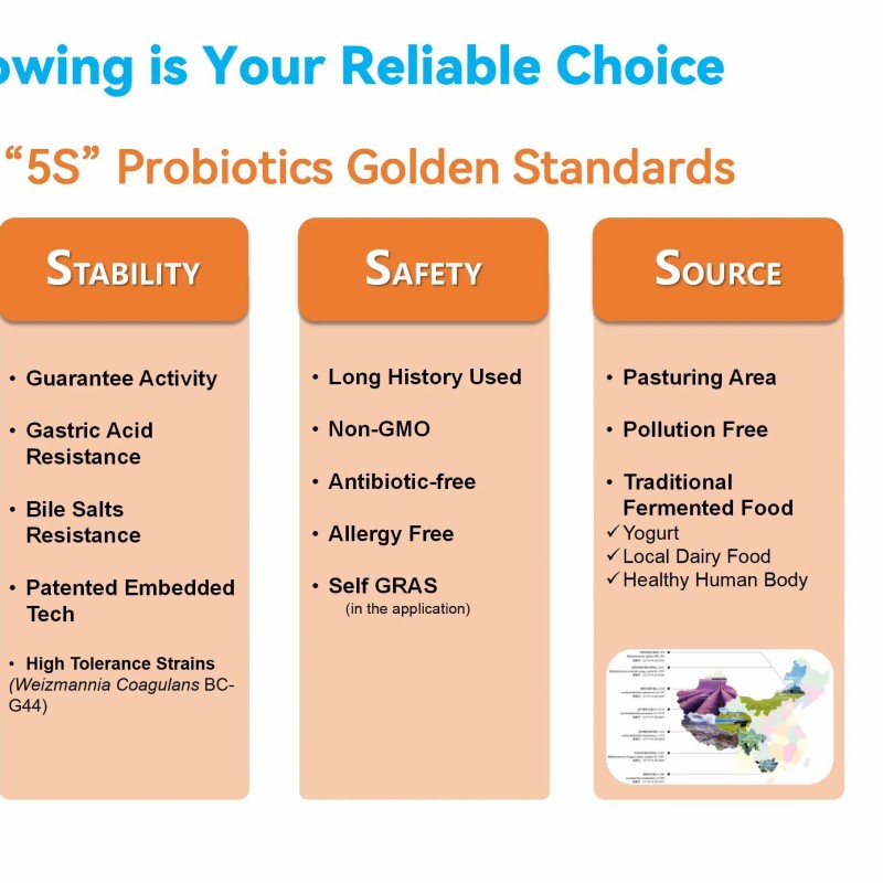 Premium Dairy Starter Culture for Yoghurt and Cheese Making