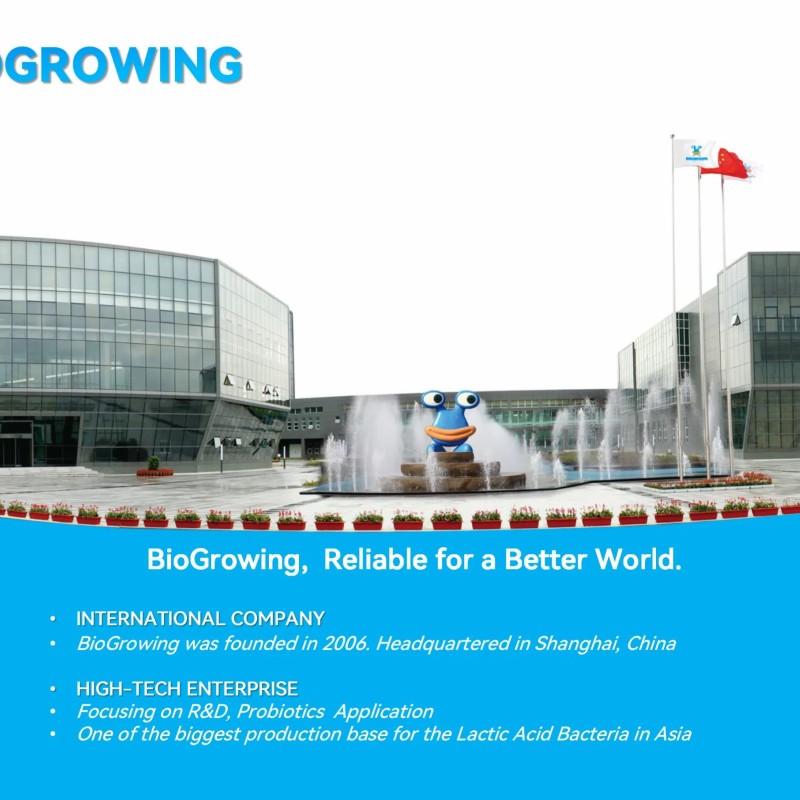 Premium Dairy Starter Culture for Yoghurt and Cheese Making