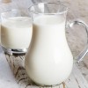 Premium Dairy Starter Culture for Yoghurt and Cheese Making
