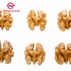 Xinjiang Flavor Wen 185 Walnut Kernel Halves
