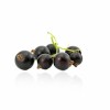 Chinese Hot Sale Premium IQF Frozen Blackcurrant IQF Black Currant Quick Freezing
