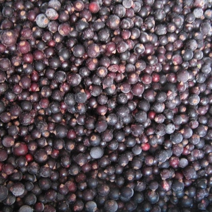 Chinese Hot Sale Premium IQF Frozen Blackcurrant IQF Black Currant Quick Freezing