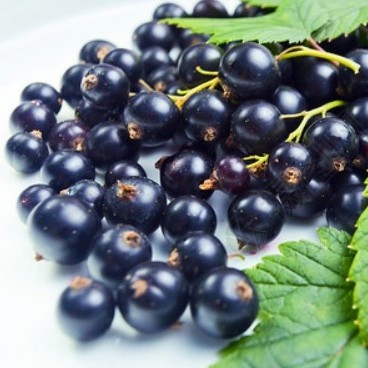 Chinese Hot Sale Premium IQF Frozen Blackcurrant IQF Black Currant Quick Freezing