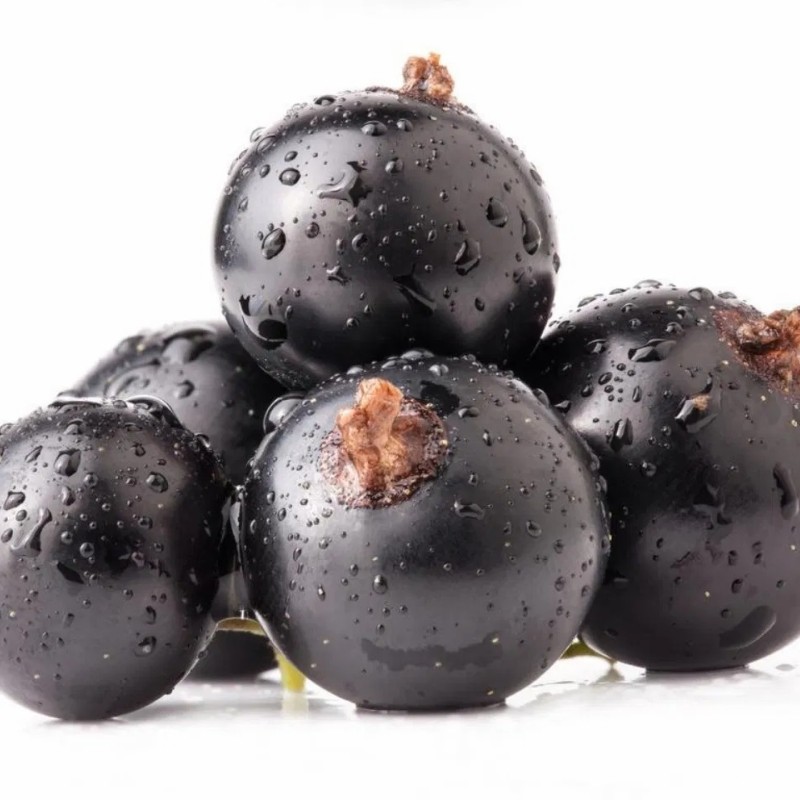 Chinese Hot Sale Premium IQF Frozen Blackcurrant IQF Black Currant Quick Freezing