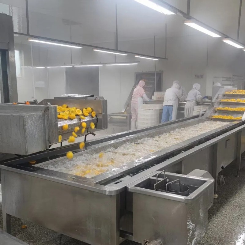 Frozen Peach Dice IQF Peach Dice Healthy Tasty High Quality Frozen Fruit Bulk Package Small Bag Frozen Fruits Factory Wholesaler Qualify Producer Standard