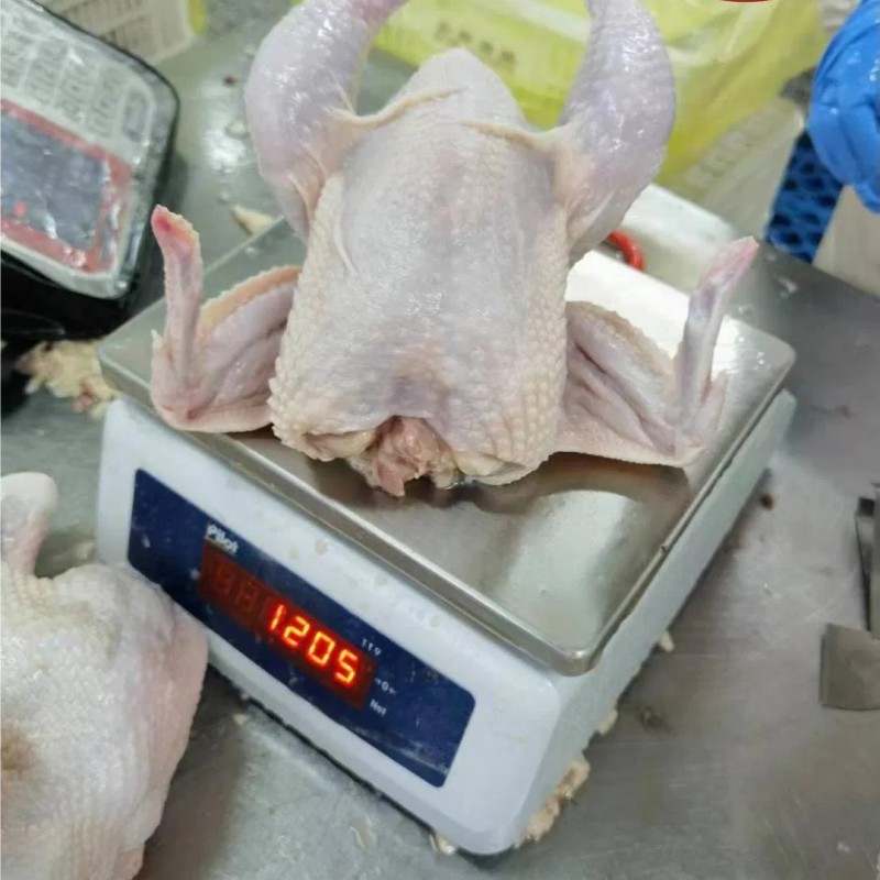 China Factory Supply – Frozen Whole Chicken