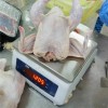 China Factory Supply – Frozen Whole Chicken