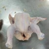 China Factory Supply – Frozen Whole Chicken