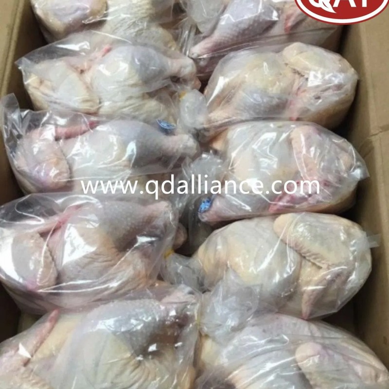 China Factory Supply – Frozen Whole Chicken