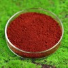 100% Water Soluble EDDHA Chelated Iron Fertilizer Granular with ISO 9001