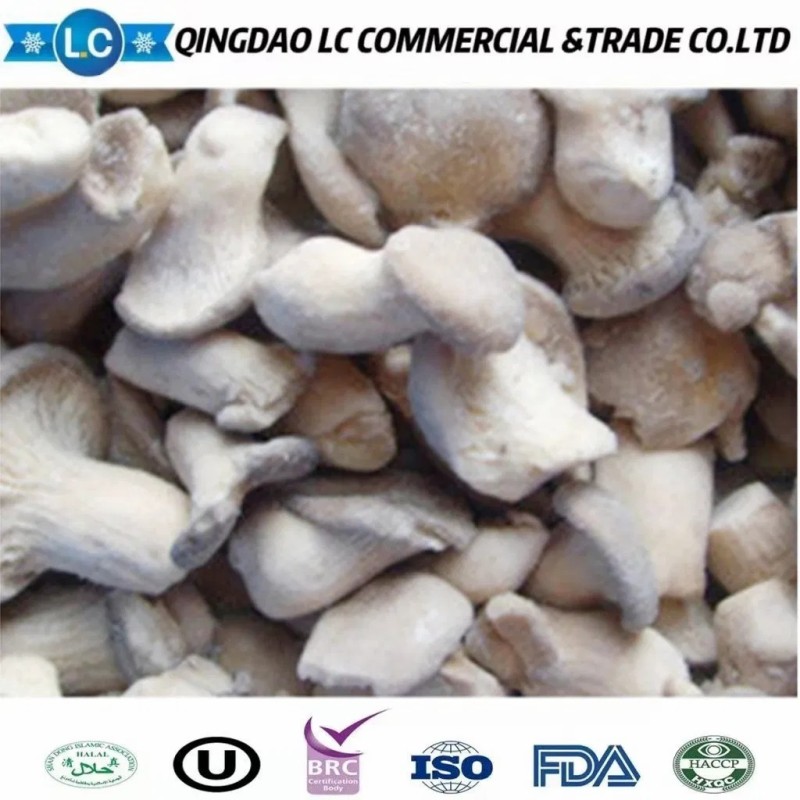 Frozen Oyster Mushroom with Good Price