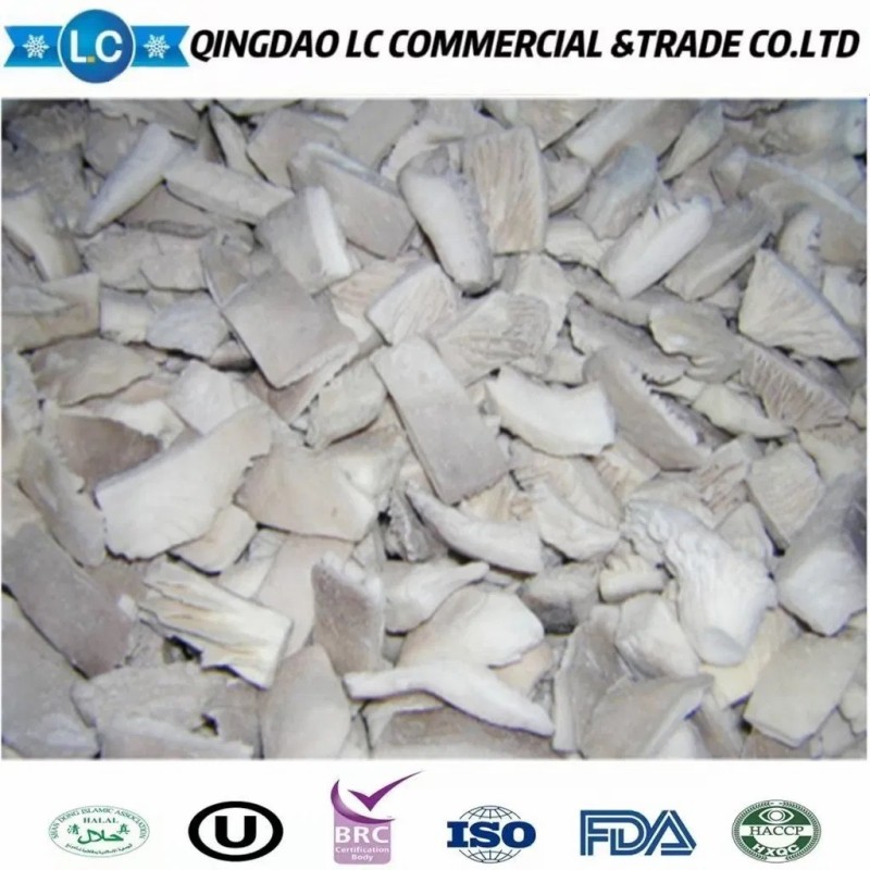 Frozen Oyster Mushroom with Good Price