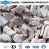 Frozen Oyster Mushroom with Good Price