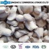 Frozen Oyster Mushroom with Good Price