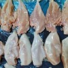 Premium IQF Skinless Boneless Chicken Breast for African Markets