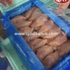 Premium IQF Skinless Boneless Chicken Breast for African Markets