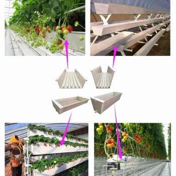 Agricultural Aquaponic Strawberry/Tomato Green House for Farm