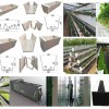 Agricultural Aquaponic Strawberry/Tomato Green House for Farm