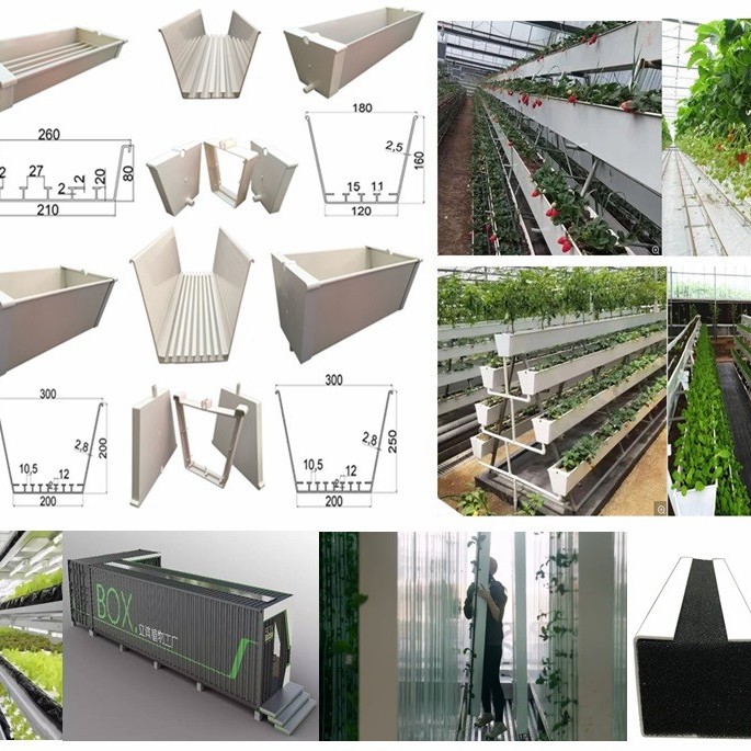 Agricultural Aquaponic Strawberry/Tomato Green House for Farm