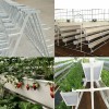 Agricultural Aquaponic Strawberry/Tomato Green House for Farm