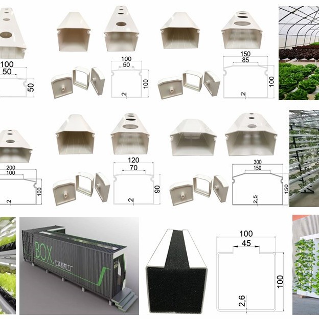 Agricultural Aquaponic Strawberry/Tomato Green House for Farm