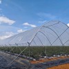 Versatile High Efficient New Design Anti-Rust Agricultural Film Greenhouse
