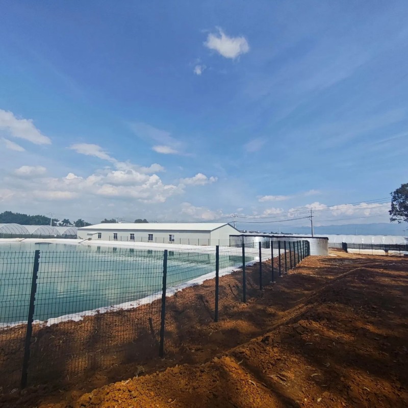 Versatile High Efficient New Design Anti-Rust Agricultural Film Greenhouse