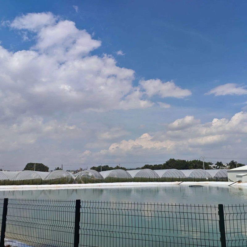 Versatile High Efficient New Design Anti-Rust Agricultural Film Greenhouse