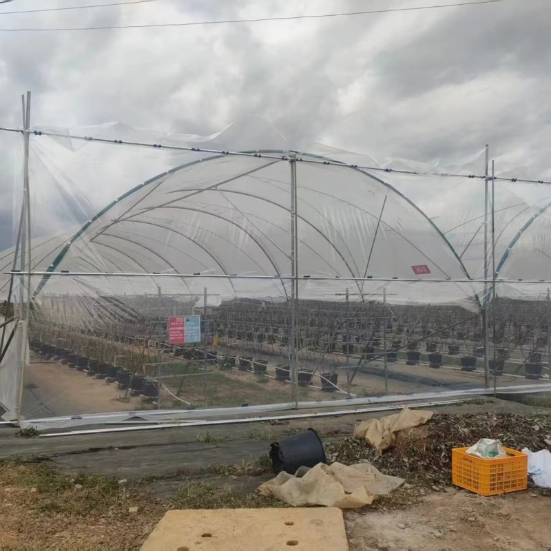 Versatile High Efficient New Design Anti-Rust Agricultural Film Greenhouse