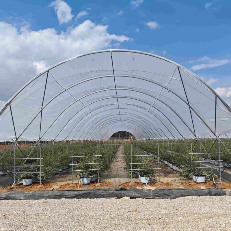 Versatile High Efficient New Design Anti-Rust Agricultural Film Greenhouse