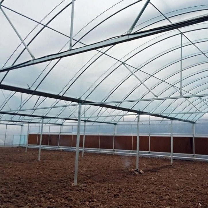 Professional Multi-Span Plastic Film Greenhouse with Shading System for Commercial Projects