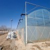 Professional Multi-Span Plastic Film Greenhouse with Shading System for Commercial Projects