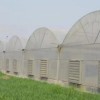 Professional Multi-Span Plastic Film Greenhouse with Shading System for Commercial Projects