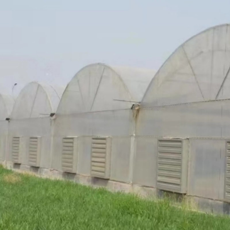 Professional Multi-Span Plastic Film Greenhouse with Shading System for Commercial Projects