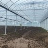 Professional Multi-Span Plastic Film Greenhouse with Shading System for Commercial Projects